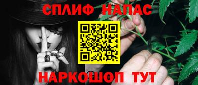 МДПВ Дубна