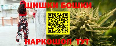 МДПВ Дубна