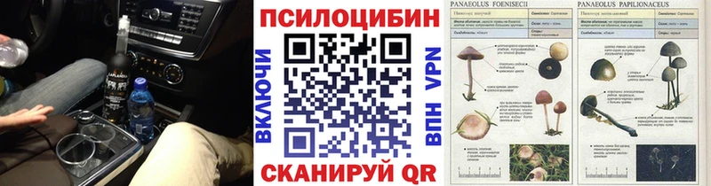 KRAKEN вход  Мариинск  Галлюциногенные грибы Psilocybine cubensis 
