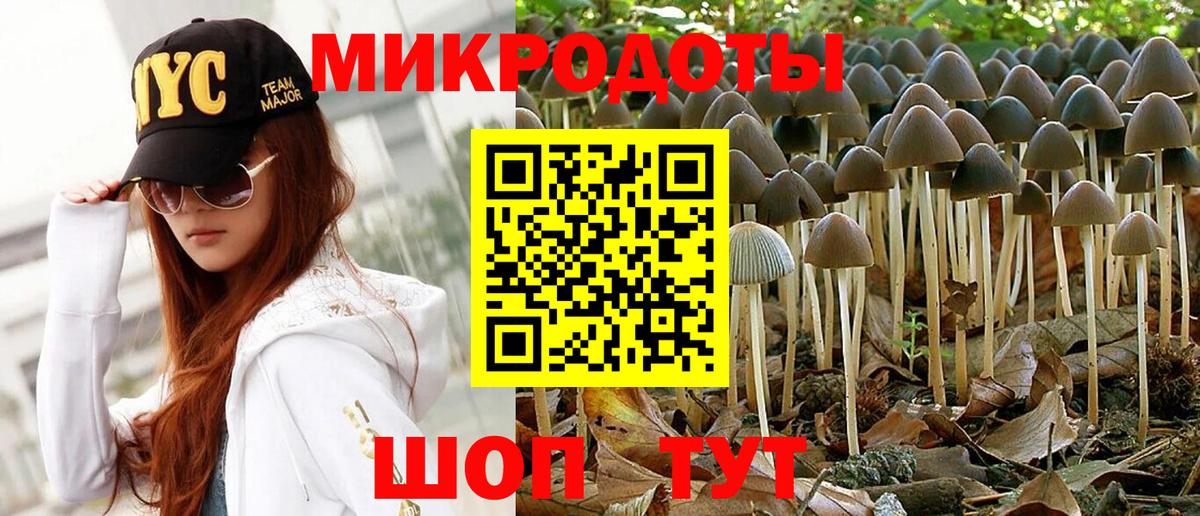 что такое наркотик  Мариинск  Галлюциногенные грибы Cubensis 