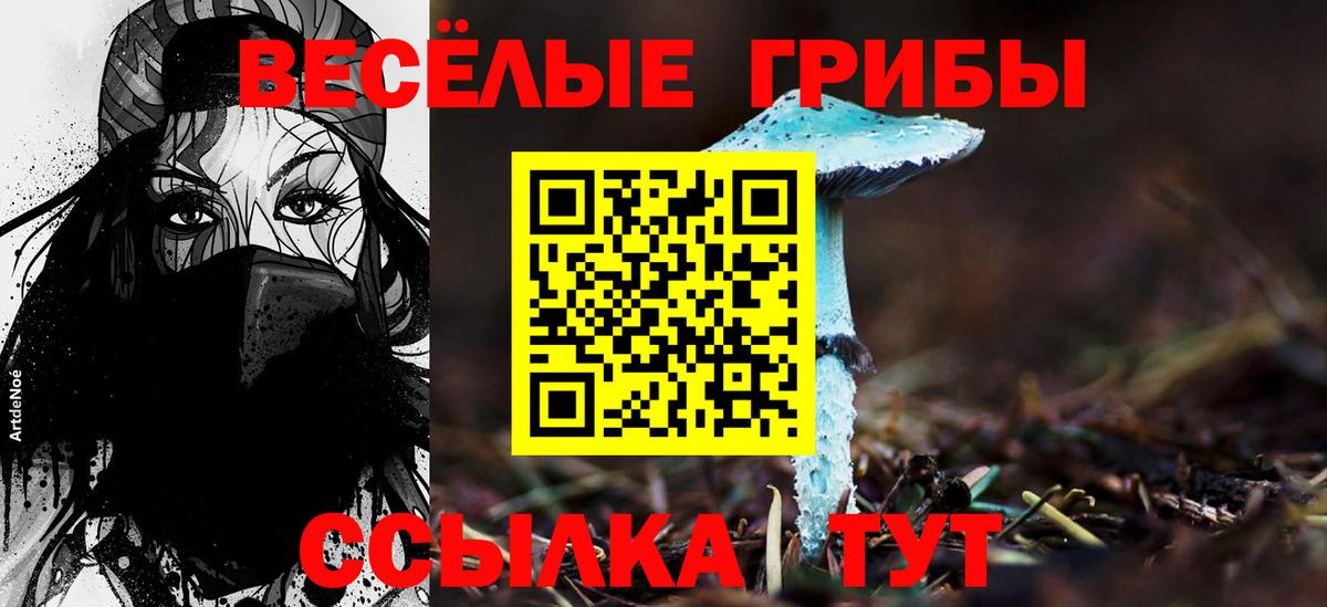 Мариинск  Псилоцибиновые грибы прущие грибы  Вход с VPN 