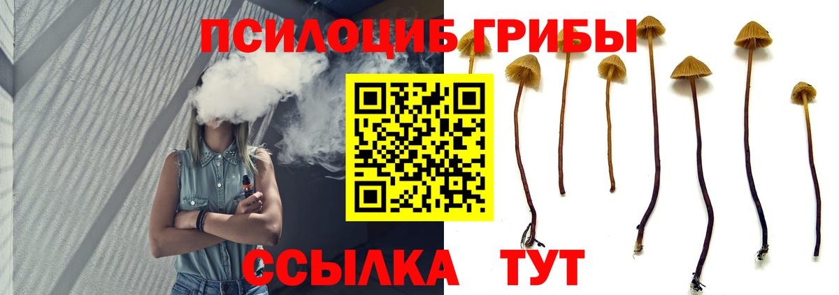 Галлюциногенные грибы Magic Shrooms Мариинск